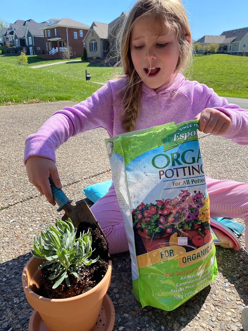 Celebrate Earth Day with Feed & Seed Depot Oldham Family Fun